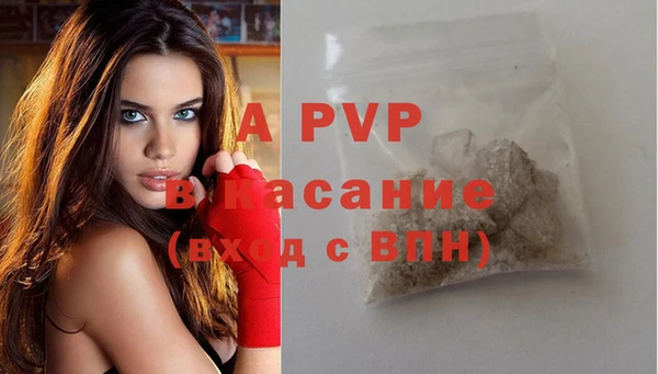 твердый Аркадак