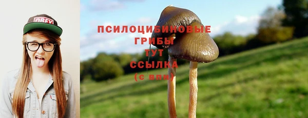 твердый Аркадак