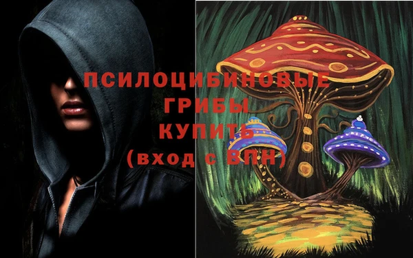 твердый Аркадак