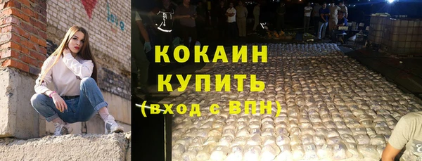 твердый Аркадак