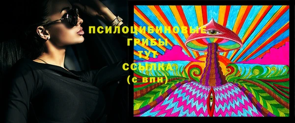 прущий лед Арсеньев