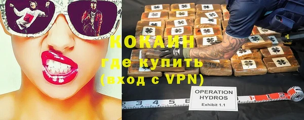 твердый Аркадак
